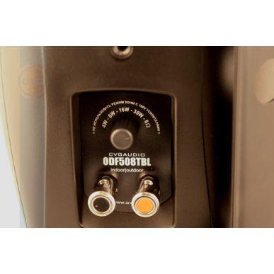 Настенная акустика CVGAUDIO ODF508TBL